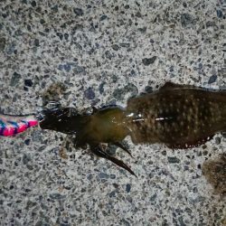 初ホームグランド!