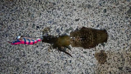 初ホームグランド!