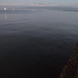 南港の状況調査釣行