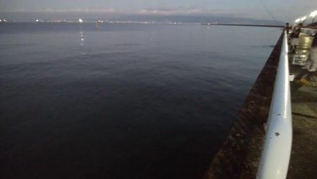 南港の状況調査釣行