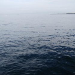 厳しい中、ツバスに救われた