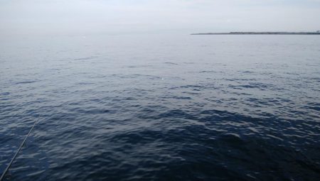 厳しい中、ツバスに救われた