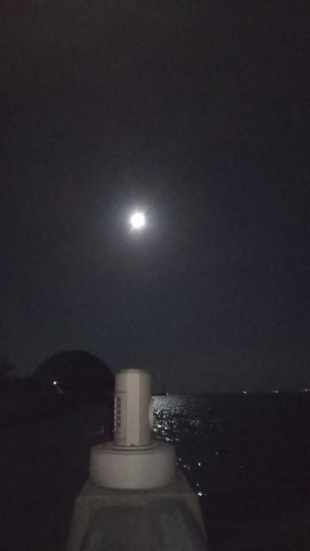 ツバス？ハマチ？