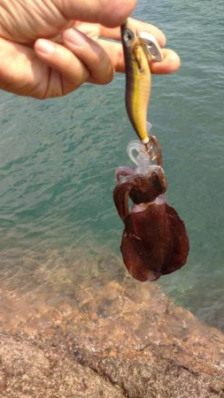 清掃活動からのエキング