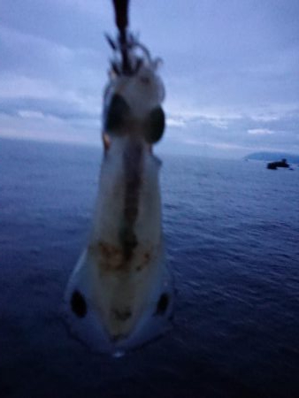 ようやく300ｇUP