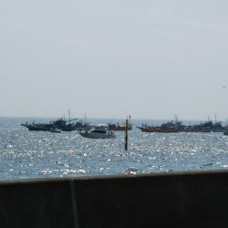 超！短い朝マヅメ