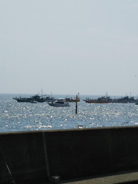 超！短い朝マヅメ