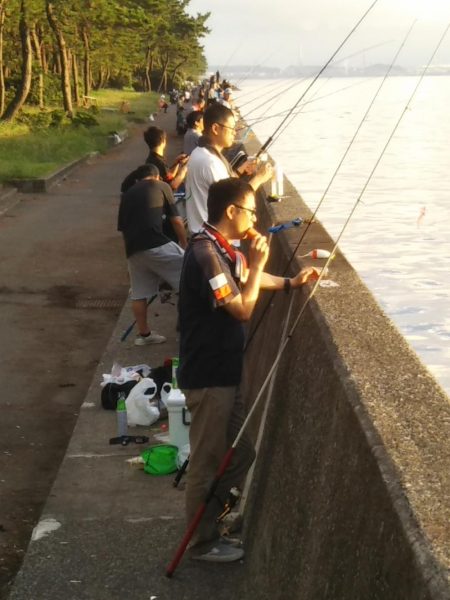 朝マヅメは超!満員