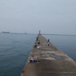 潮動き悪く良型キス不発の播磨新島