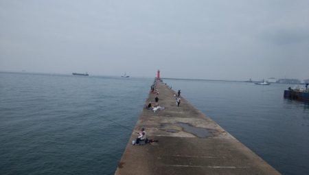 潮動き悪く良型キス不発の播磨新島