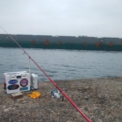 潮の動き良い播磨新島釣行