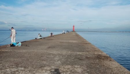 潮の動き今一でもキスが釣れる播磨新島