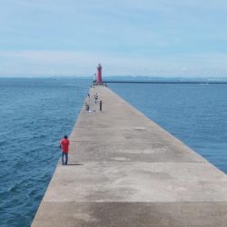 10時から爆釣の播磨新島釣行