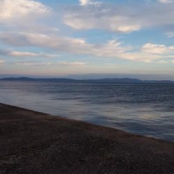 暴風の播磨新島釣行