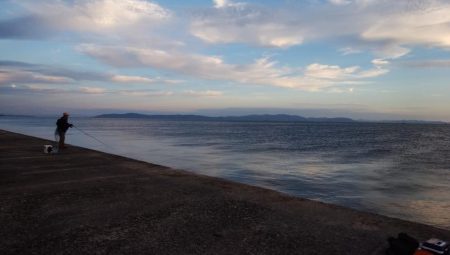 暴風の播磨新島釣行