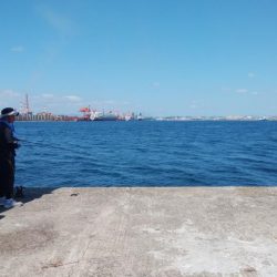 時合いドンピシャの播磨新島釣行