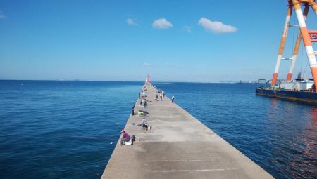 ７日連投の播磨新島釣行