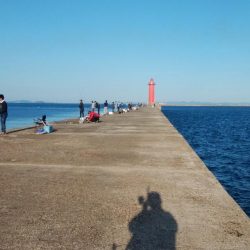 台風通過後2日目にキスが復活した播磨新島