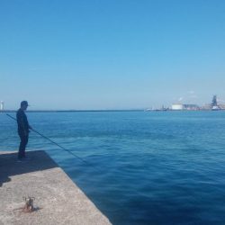 キスの活性が戻った播磨新島