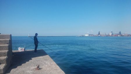 キスの活性が戻った播磨新島