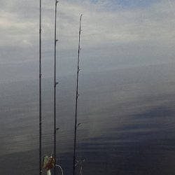 ジギングシーズン始まるよー