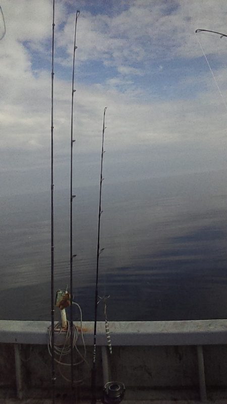 ジギングシーズン始まるよー