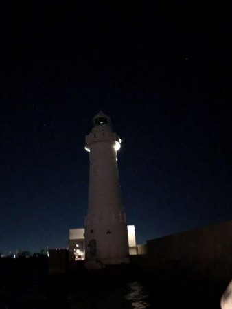 和田坊新波止にて青物