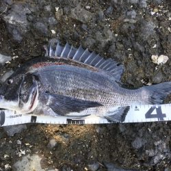 イチノ兄弟、釣果!