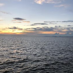 ツバスしかおらん