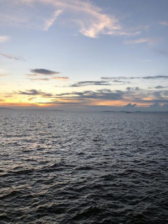 ツバスしかおらん