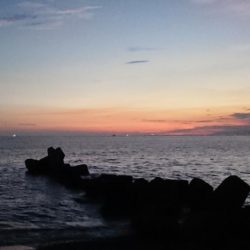 初アオリイカ釣行