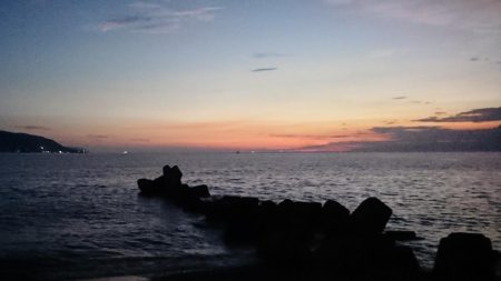 初アオリイカ釣行