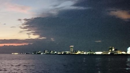 アオリイカ新子シーズン収束へ