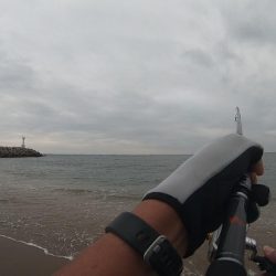 サーフフィッシング チビシーバス