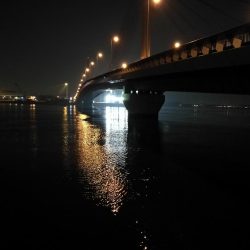 南港ヘチ釣行 (9/1 9月入りの南港ヘチ キビレチヌ、ガシラ 釣果有り)