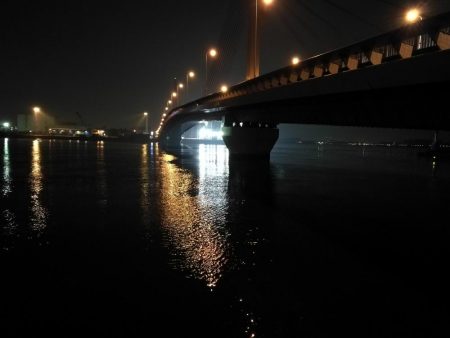 南港ヘチ釣行 (9/1 9月入りの南港ヘチ キビレチヌ、ガシラ 釣果有り)