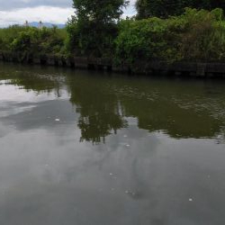 ちょっと寄り道