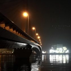 南港ヘチ釣行 (9/7 南港ヘチ釣り 黒メバル、ガシラ 釣果有り)