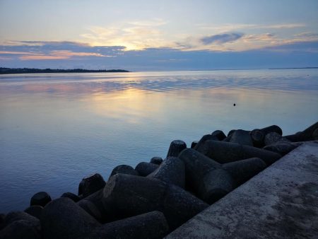 西表島、湾内でロウニンアジ