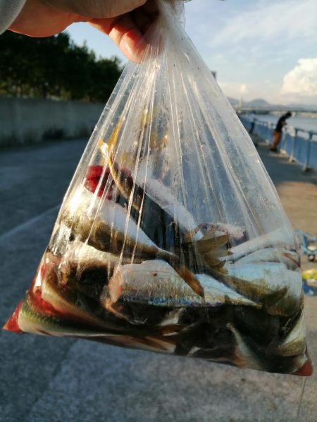 ファミリーフィッシング