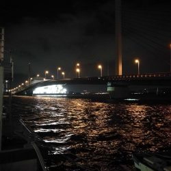 南港ヘチ釣行 (9/13 悪天候になった南港ヘチ釣り キビレチヌ37cm、ガシラ 釣果有り)