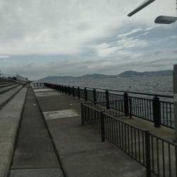 雨あがりに狙うも…