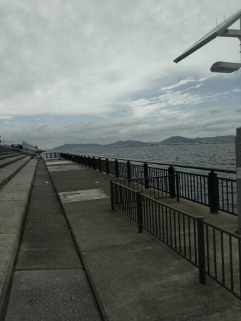 雨あがりに狙うも…