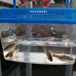 仕事の合間に❗