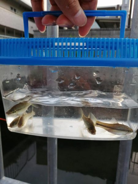 仕事の合間に❗