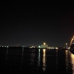 南港ヘチ釣行 (9/15 秋風の南港ヘチ釣り 真チヌ、ガシラ 釣果有り)