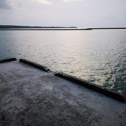 ジャックアイグロッキーでロウニンアジ