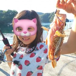 サイト不成立・・・