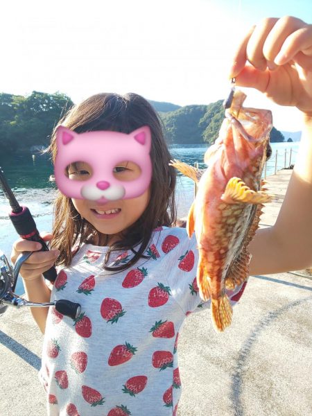 サイト不成立・・・