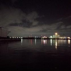 南港ヘチ釣行 （9/17 敬老の日の深夜の南港ヘチ釣り 真チヌ、ガシラ、メジナ 釣果有り）